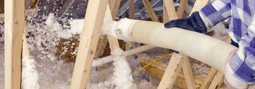 Collage Image twelve