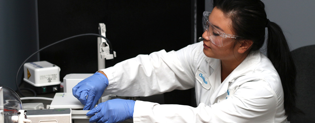 Collage Image thirteen