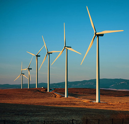 Collage Image fourteen